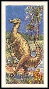 12 Iguanodon